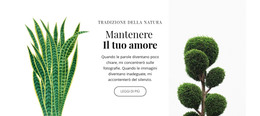 Negozio Di Piante E Fiori - Modello HTML Di Base
