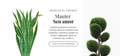 Planta E Floricultura - Modelo Profissional Personalizável De Uma Página