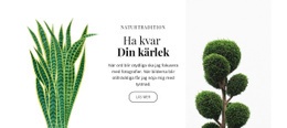 Växt- Och Blomsterbutik - Responsiv Webbplatsmall