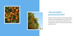 Pěstujte Pomerančovník - Webová Šablona