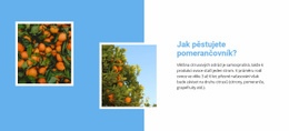 Design Webových Stránek Pěstujte Pomerančovník Pro Jakékoli Zařízení