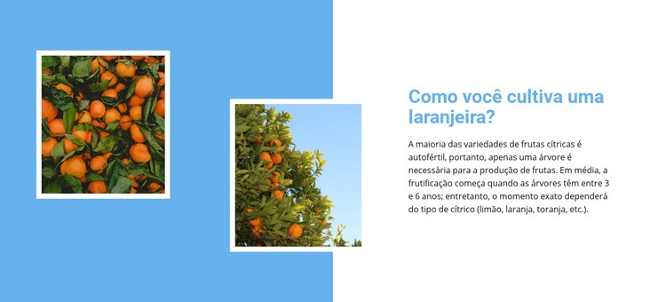 Crescer laranjeira Maquete do site