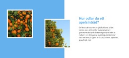 Webbplatsdesign Odla Apelsinträd För Alla Enheter