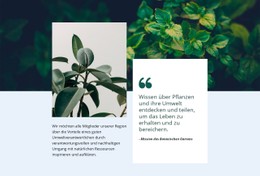 CSS-Rastervorlagenspalte Für Erstaunliche Natur