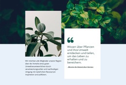 Kostenlose Designvorlage Für Erstaunliche Natur