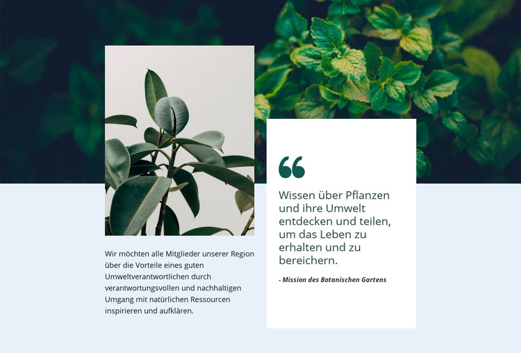 Erstaunliche Natur WordPress-Theme