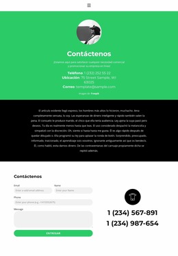 Pagina De Contacto