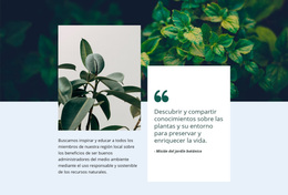 Naturaleza Increíble - Tema Personalizado De WordPress