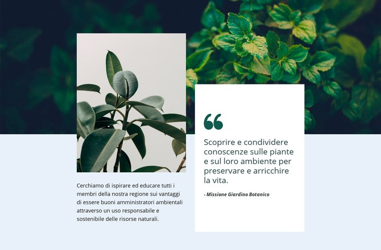 Natura incredibile Modelli di Website Builder