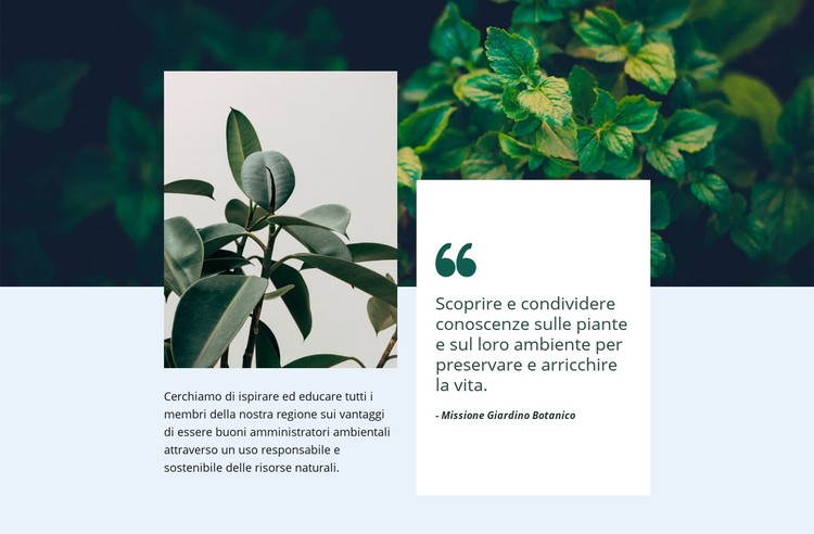 Natura incredibile Modello CSS