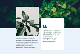 Kolumna Szablonu Siatki CSS Dla Niesamowita Natura