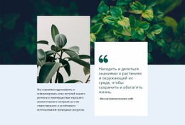 Удивительная Природа – Пользовательская Тема WordPress