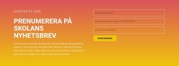 Prenumerera På Nyhetsbrevet - Fantastiskt WordPress-Tema