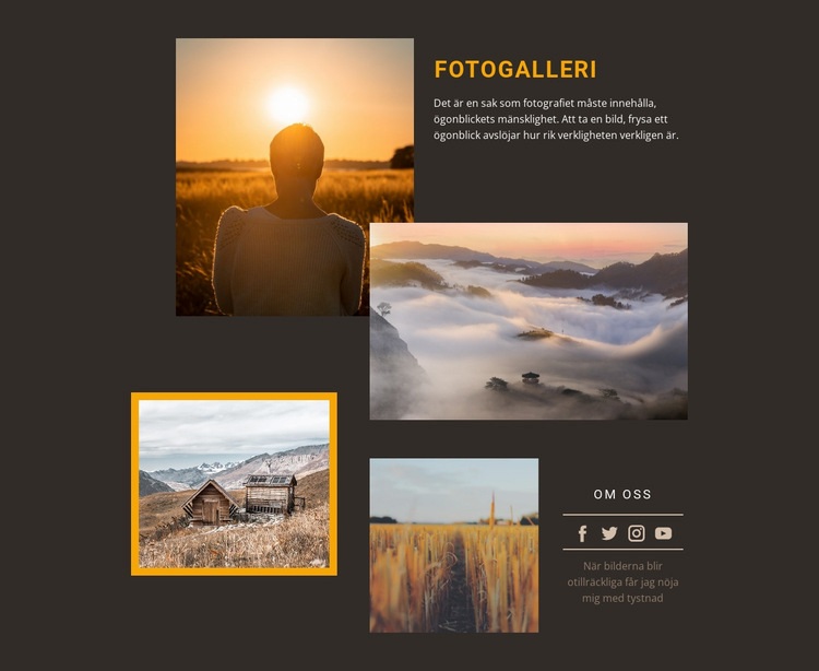 Fotograferingsverkstäder Webbplats mall