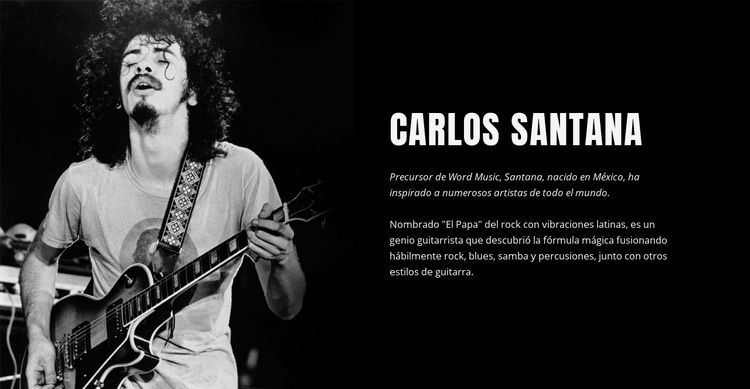 Una breve historia del legendario guitarrista Maqueta de sitio web