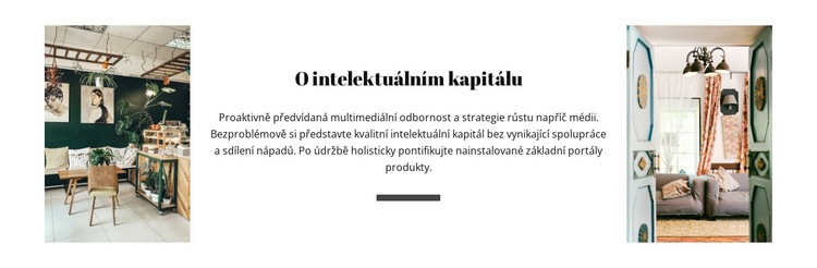 O intelektuálním kapitálu Téma WordPress