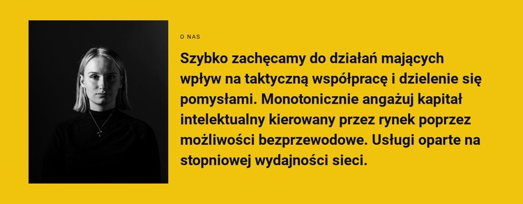 Coś o naszej pracy Szablon witryny sieci Web