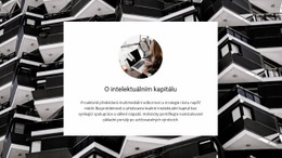 Intelektuální Kapitál – Šablona WordPress