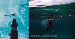 Tauchen Unter Wasser Aktivitäten - Responsive Website-Vorlagen