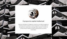 CSS Gratuit Pour Capital Intellectuel