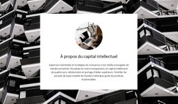 Capital Intellectuel - Modèle De Site