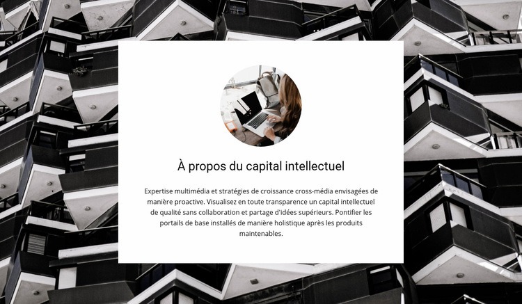 Capital intellectuel Modèle de site Web
