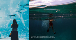 HTML Page Design For Diving Underwater Activities