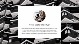 Capital Intelectual - Modelo WordPress