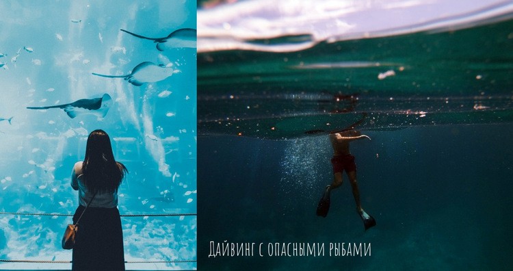 Дайвинг под водой Шаблон Joomla