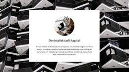 Intellektuellt Kapital #Website-Templates-Sv-Seo-One-Item-Suffix