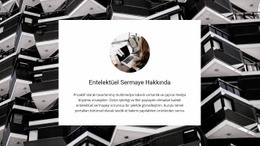 Entelektüel Sermaye - WordPress Şablonu
