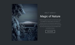 Magic Of Winter Nature CSS Template