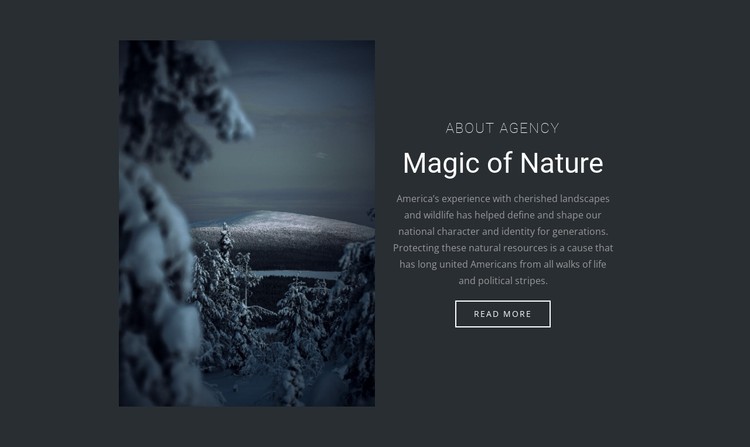 Magic of winter nature CSS Template