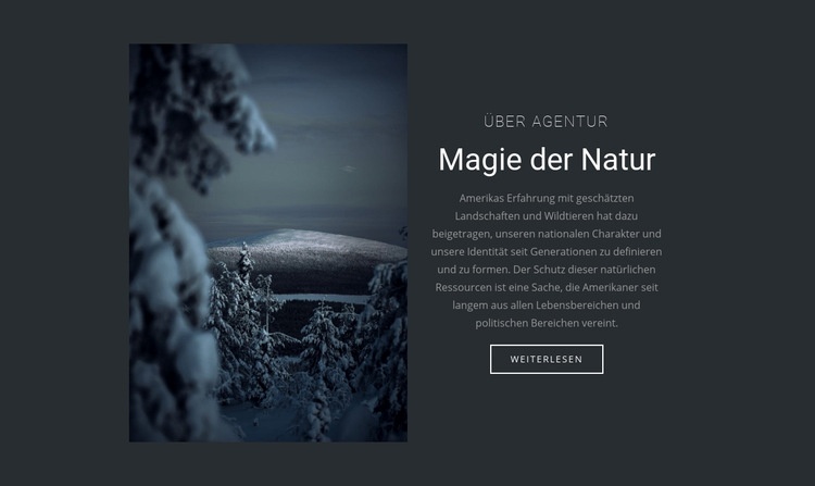 Magie der Winternatur HTML5-Vorlage