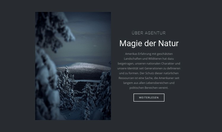 Magie der Winternatur Website Builder-Vorlagen