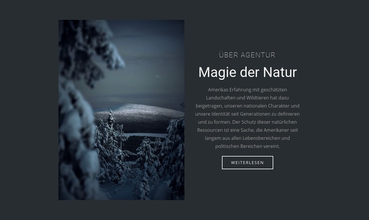 Magie der Winternatur Website design
