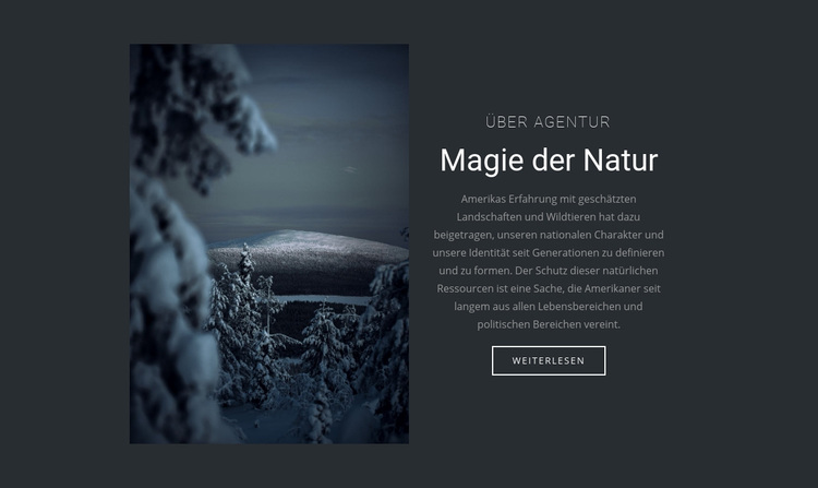 Magie der Winternatur WordPress-Theme