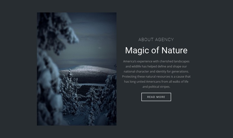 Magic of winter nature Elementor Template Alternative