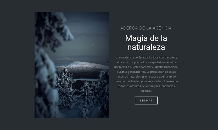 Magia de la naturaleza invernal Plantillas de creación de sitios web