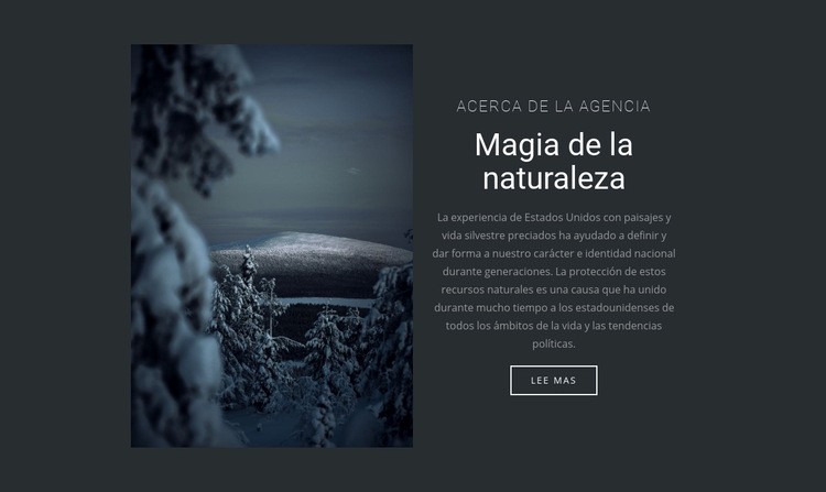 Magia de la naturaleza invernal Diseño de páginas web