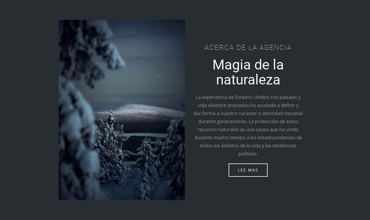 Magia de la naturaleza invernal Plantilla