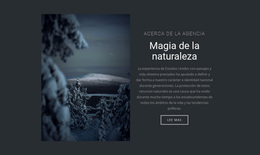 Magia De La Naturaleza Invernal