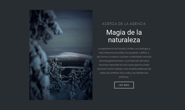 Magia de la naturaleza invernal Tema de WordPress