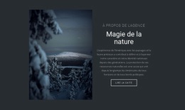 Créateur De Site Web Gratuit Pour Magie De La Nature Hivernale