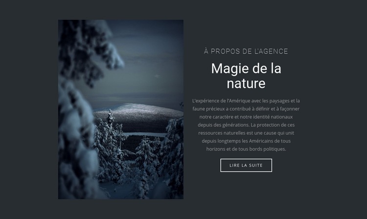 Magie de la nature hivernale Maquette de site Web