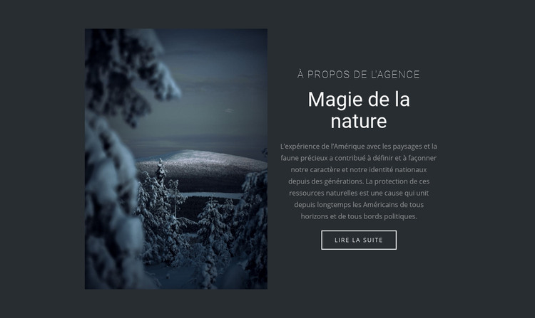 Magie de la nature hivernale Modèle HTML