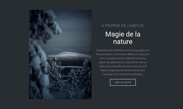 Magie De La Nature Hivernale – Téléchargement Du Modèle De Site Web