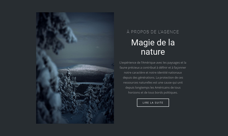 Magie de la nature hivernale Modèle de site Web
