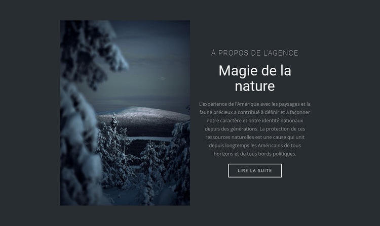 Magie de la nature hivernale Modèle d'une page