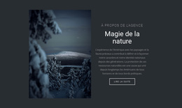 Magie De La Nature Hivernale – Thème WordPress Par Glisser-Déposer